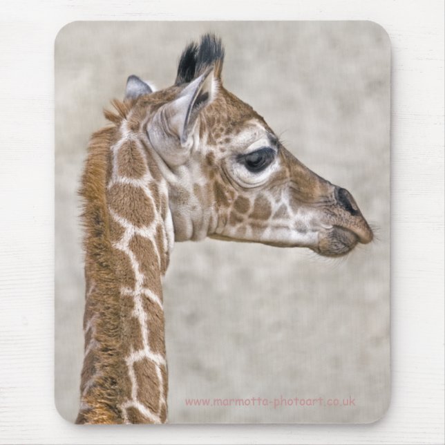 African Prince Mousemat Mouse Pad (Front)