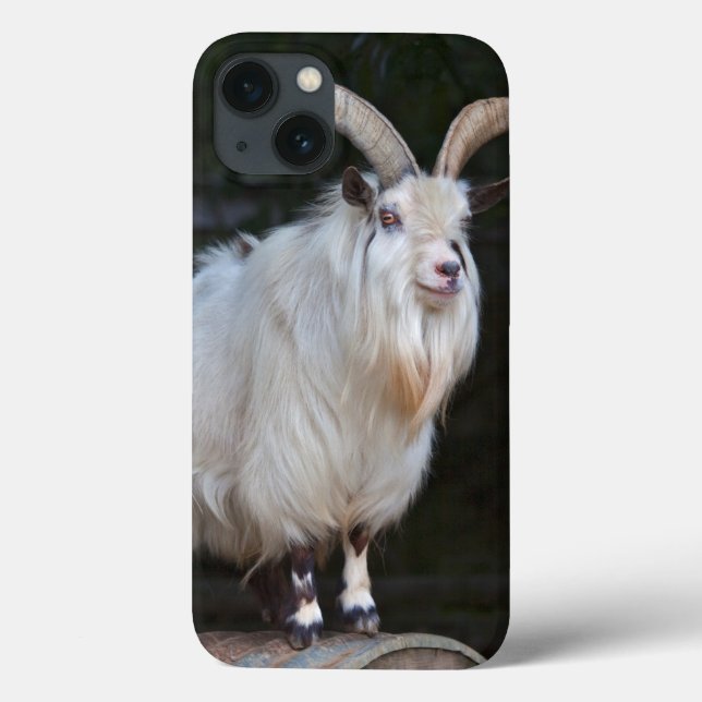 African Pygmy Goat iPad Case (Back)
