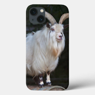 African Pygmy Goat iPad Mini Case