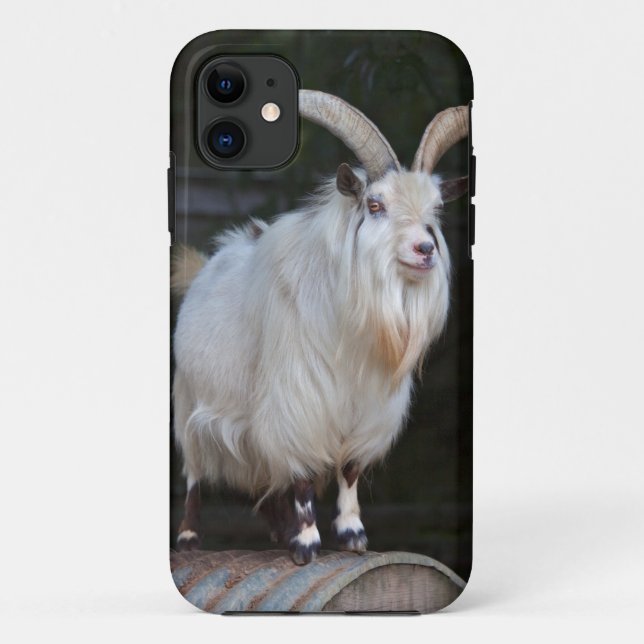 African Pygmy Goat iPhone 5 Case (Back)