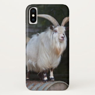 African Pygmy Goat iPhone X Case