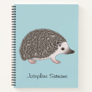 African Pygmy Hedgehog Cartoon Design On Blue Notebook