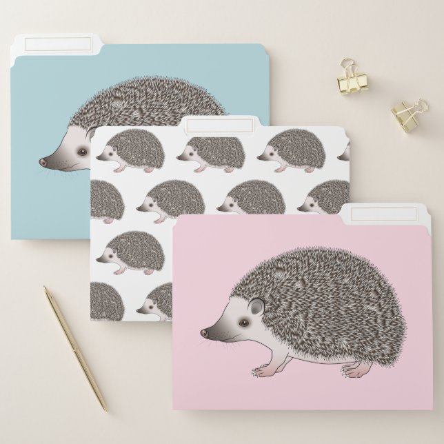 African Pygmy Hedgehog Cute Cartoon Illustration File Folder (Set)