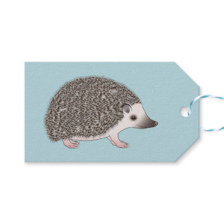 African Pygmy Hedgehog Cute Cartoon Illustration Gift Tags
