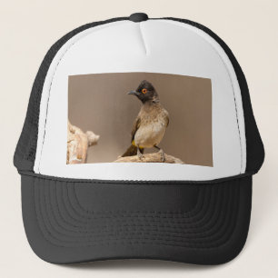 African Red-Eyed Bulbul Trucker Hat