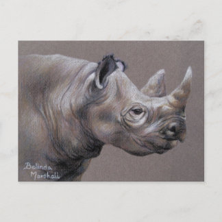 African Rhino Drawing Postcard