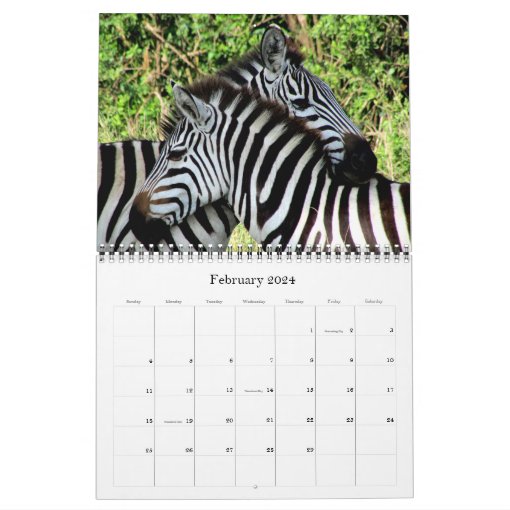 african safari 2016 calendar | Zazzle