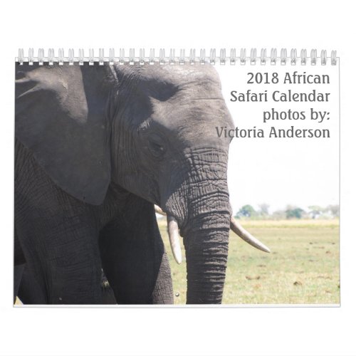 African Safari 2018 Calendar