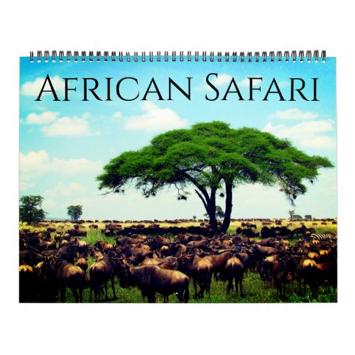 SOUTH AFRICAN SAFARI 2024 CALENDAR Gabriel Angel Design   African Safari 2024 Large Calendar Rb3e4560f9a044681a0fd47b2854cdc52 T4az9 8byvr 500 