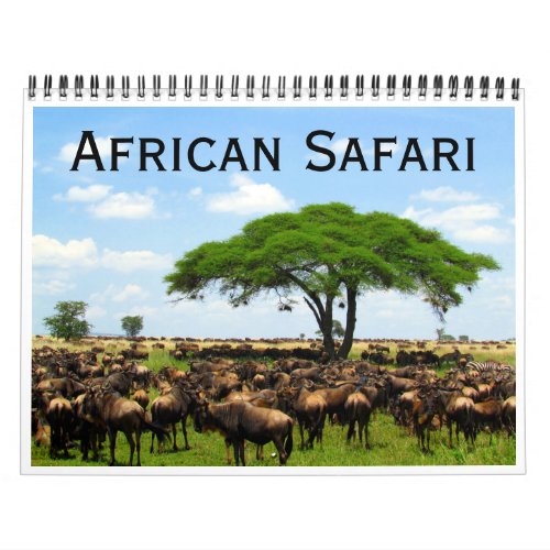 african safari 2025 calendar