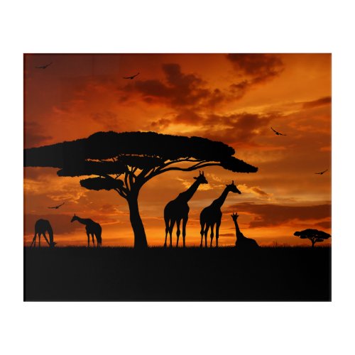 African Safari at Sunset Acrylic Print