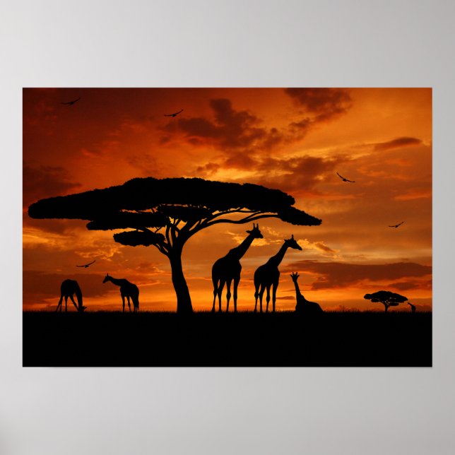 African Safari at Sunset Poster (Front)
