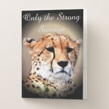 African Safari Cheetah Only The strongest Survive