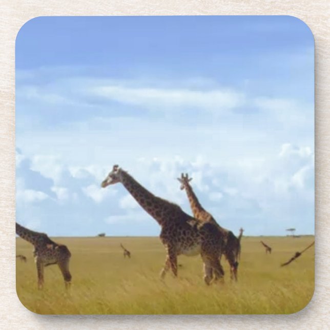 African Safari Giraffes Coaster (Front)