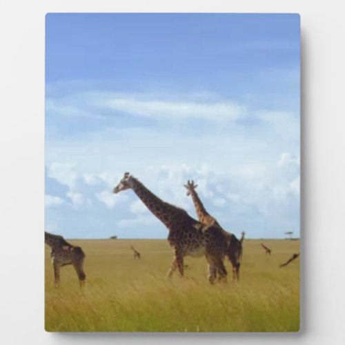African Safari Giraffes Plaque