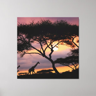 African Safari Landscape At Sunset Canvas Print