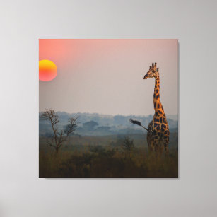 African Safari Landscape At Sunset  Canvas Print