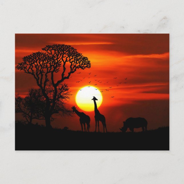 African Safari Sunset Animal Silhouettes Postcard (Front)