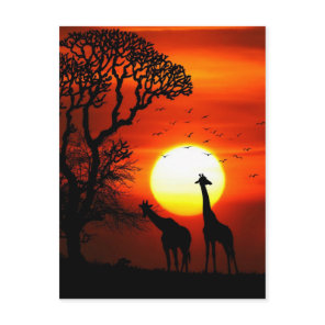 African Safari Sunset Giraffe Silhouettes Postcard