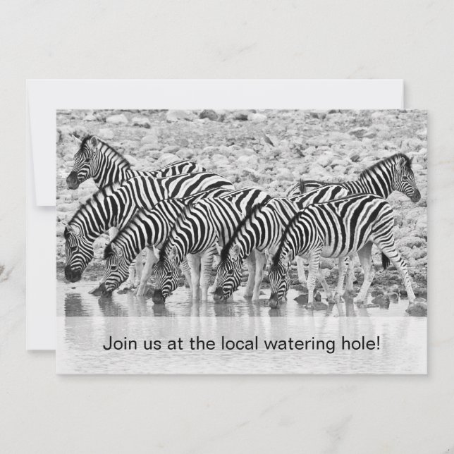 African Safari Zebra Funny Birthday Invitation (Front)