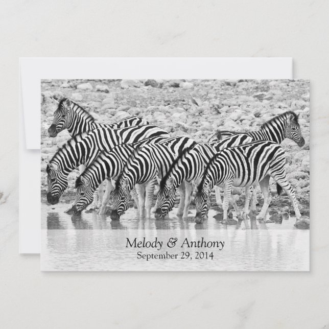 African Safari Zebra Wedding Invitation (Front)