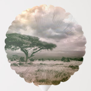 African Sahara Serengeti Savannah National Park Balloon