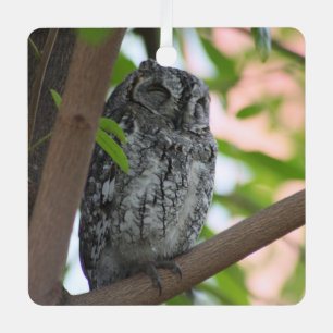 African Scops owl sleeping in a tree Metal Ornament