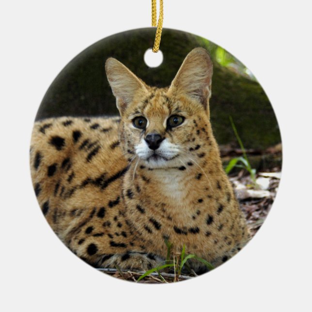 African Serval Christmas Ornament (Front)