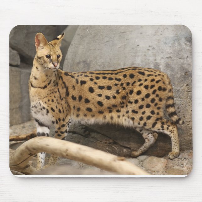 African Serval Stylish and functional Mouse Pad (Front)