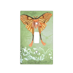 African Silk Moth Light Switch Cover