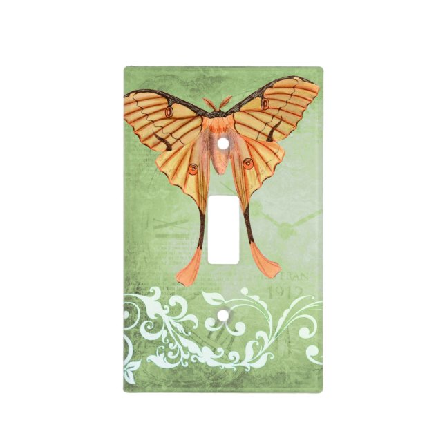 African Silk Moth Light Switch Cover (Front)