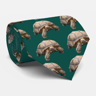 African spurred tortoise neck tie