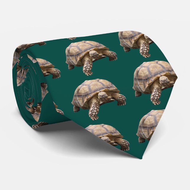 African spurred tortoise neck tie (Rolled)