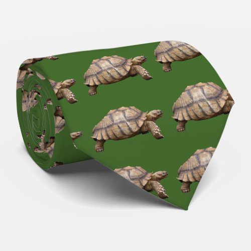 African spurred tortoise neck tie