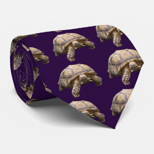 African spurred tortoise neck tie