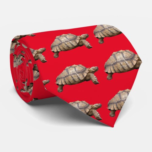 African spurred tortoise tie