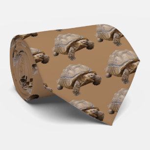 African spurred tortoise tie