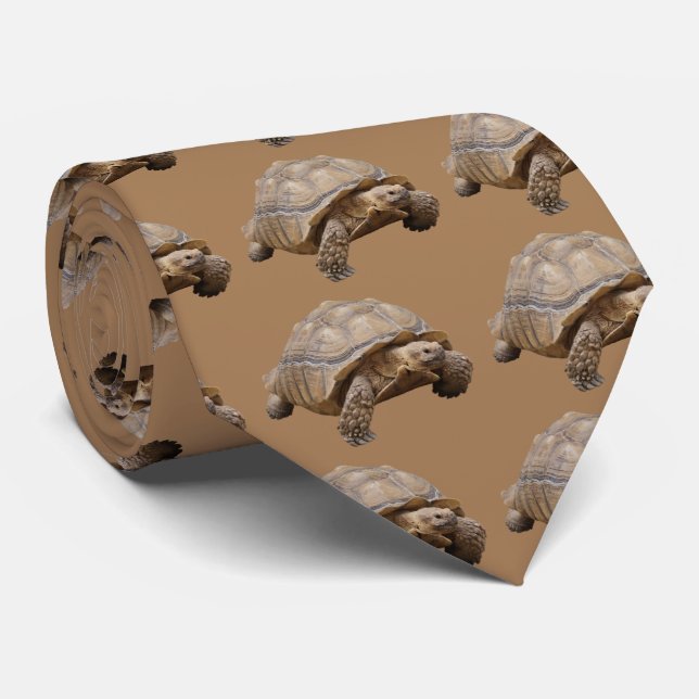 African spurred tortoise tie (Rolled)