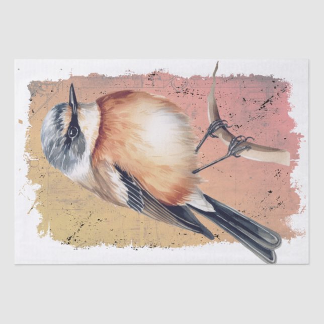 African Stonechat Bird Tissue Paper (Front)