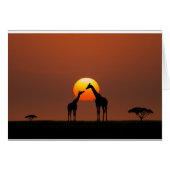 African Sunset (Front Horizontal)