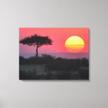 African Sunset Canvas Print at Zazzle