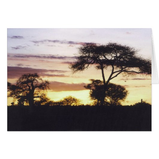 African Sunset Cards (Front Horizontal)