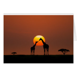 African Sunset Cards