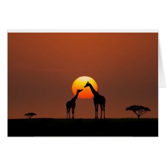 African Sunset Cards (Front Horizontal)