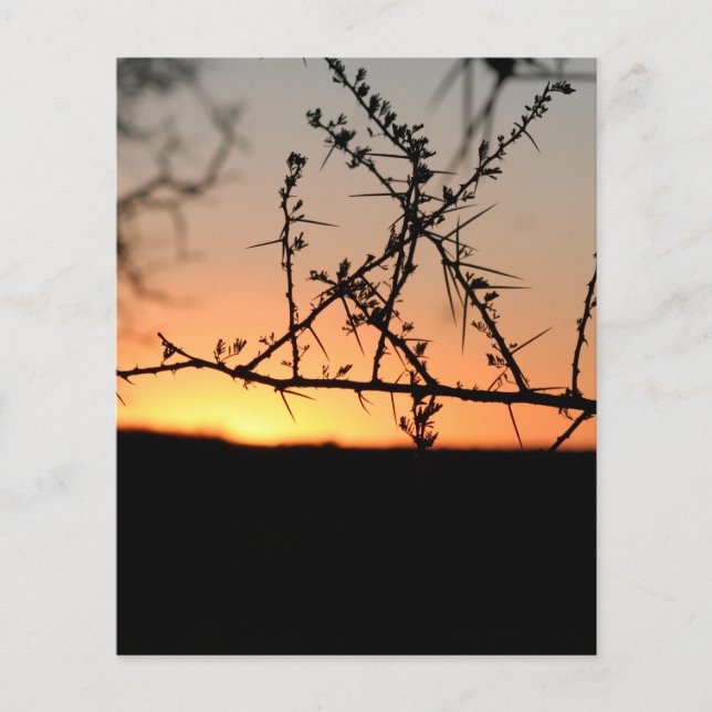 African sunset flyer (Front)