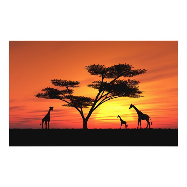 African Sunset Photo Print (Front)