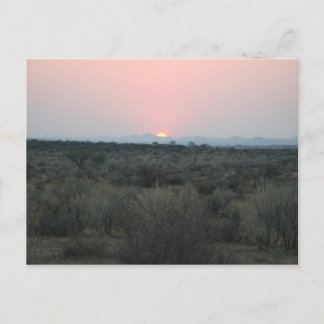 African Sunset Postcard