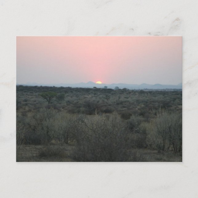 African Sunset Postcard (Front)
