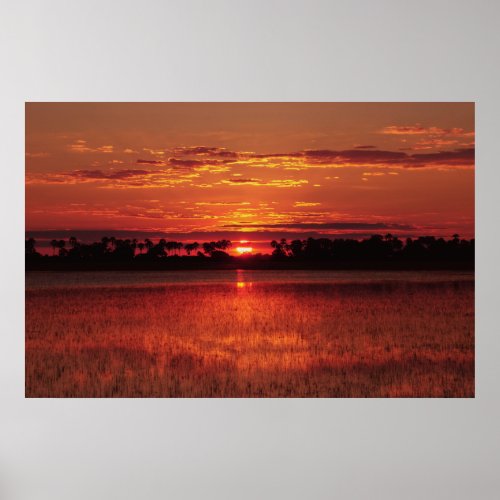 African sunset posters prints pictures  images poster
