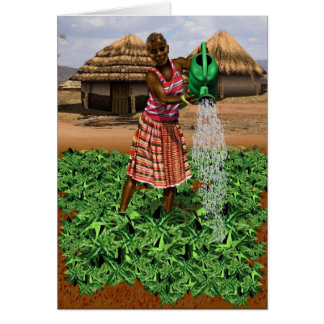 African village life cards